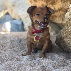 Meet your Posher, Anna